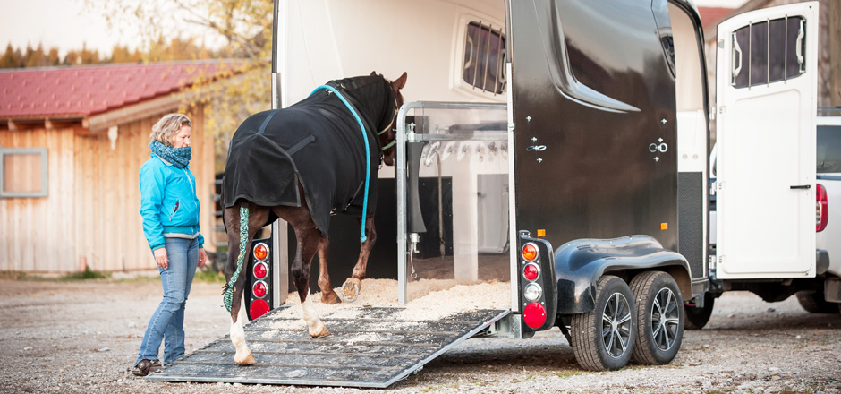 découvrez nos solutions d'assurance cheval adaptées à vos besoins. protégez votre équidé contre les accidents, maladies et imprévus tout en bénéficiant d'une couverture sur mesure. assurez l'avenir de votre cheval avec des garanties fiables et un service client à votre écoute.
