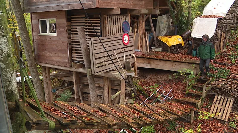 découvrez notre charmante cabane dans les arbres à montluçon, un refuge idéal pour les amoureux de la nature. profitez d'une escapade unique, entre confort moderne et aventure en pleine forêt, pour des souvenirs mémorables en famille ou entre amis.