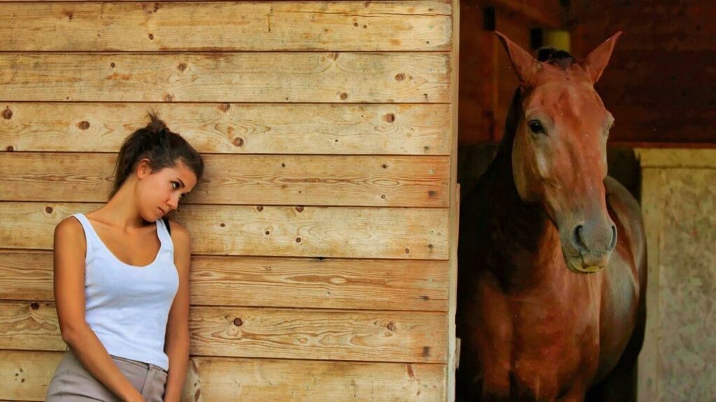 découvrez nos astuces indispensables pour bien utiliser un comparateur d'assurance cheval. trouvez l'assurance parfaite pour votre équidé en quelques clics et profitez des meilleures offres du marché.