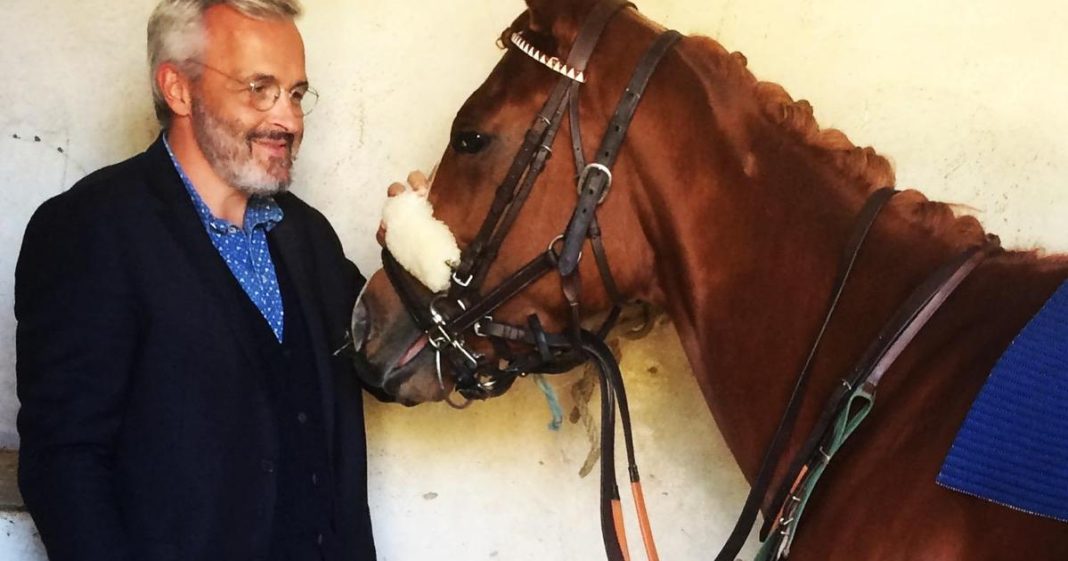 Meilleur assurance cheval : Le classement 2024 des offres les plus avantageuses