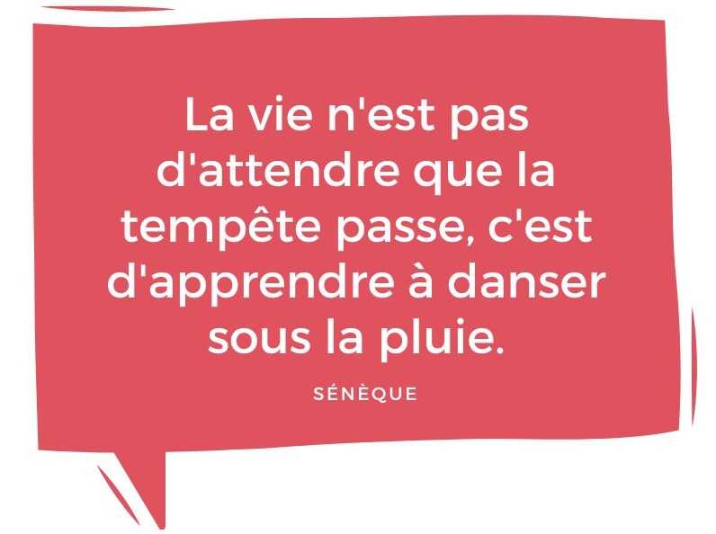 50 citations inspirantes pour enrichir votre bio Instagram