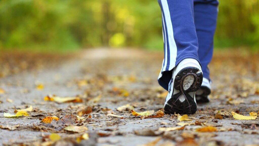 découvrez notre article sur le concept de 'pas en km', une approche innovante pour comprendre les distances et améliorer votre routine de marche. apprenez comment ces pas peuvent transformer votre mode de vie actif tout en vous rapprochant de vos objectifs de santé et de bien-être.