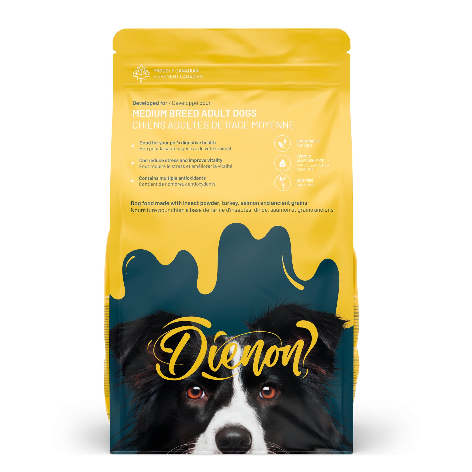 découvrez nos conseils essentiels sur la nourriture idéale pour votre border collie : besoins nutritionnels, aliments recommandés et astuces pour garder votre chien en pleine forme.