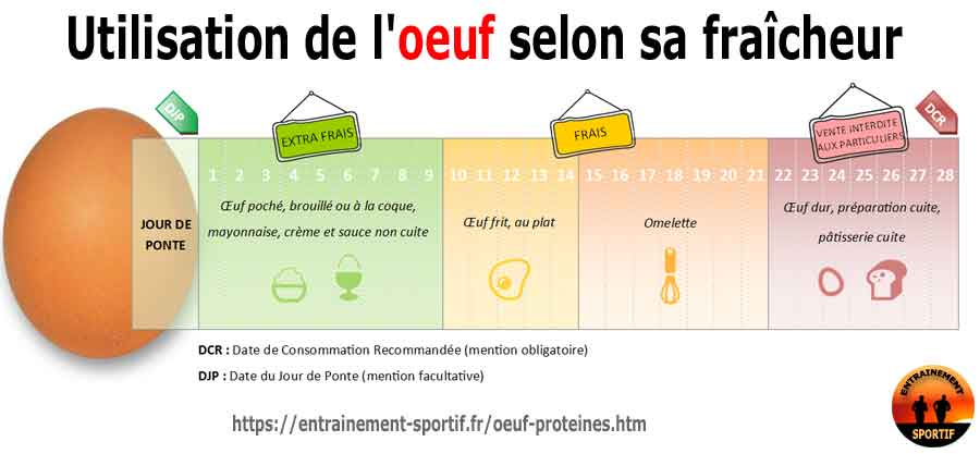 Œufs catégorie A : critères et caractéristiques nutritionnelles