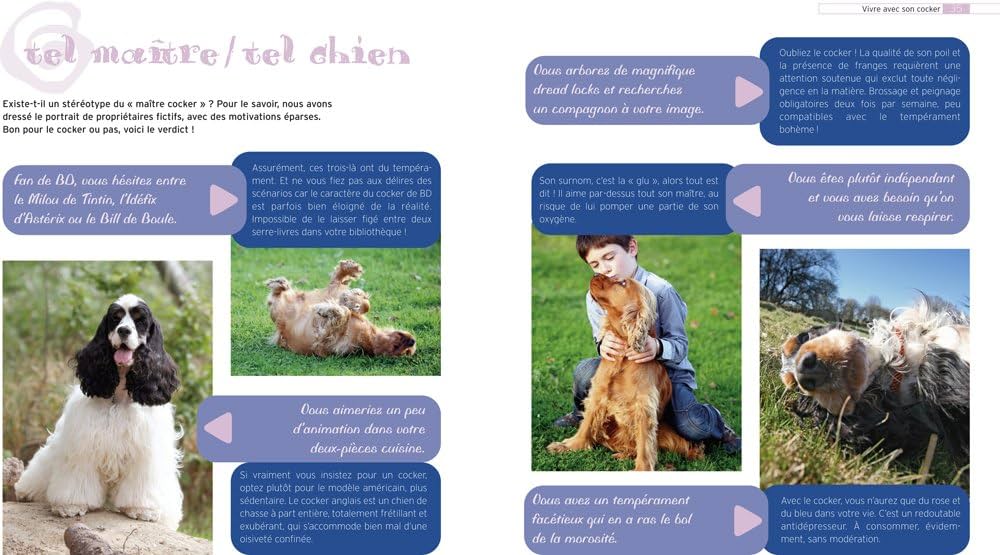 découvrez tous les aspects de la vie avec un cocker : conseils pour l'éducation, l'entretien, l'alimentation et le bien-être de ce chien affectueux et plein d'énergie.