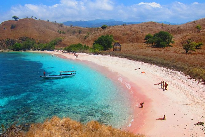 découvrez labuan bajo, la porte d’entrée idéale pour explorer komodo et ses célèbres eaux turquoises. partez à l’aventure au cœur d’un paradis naturel unique.