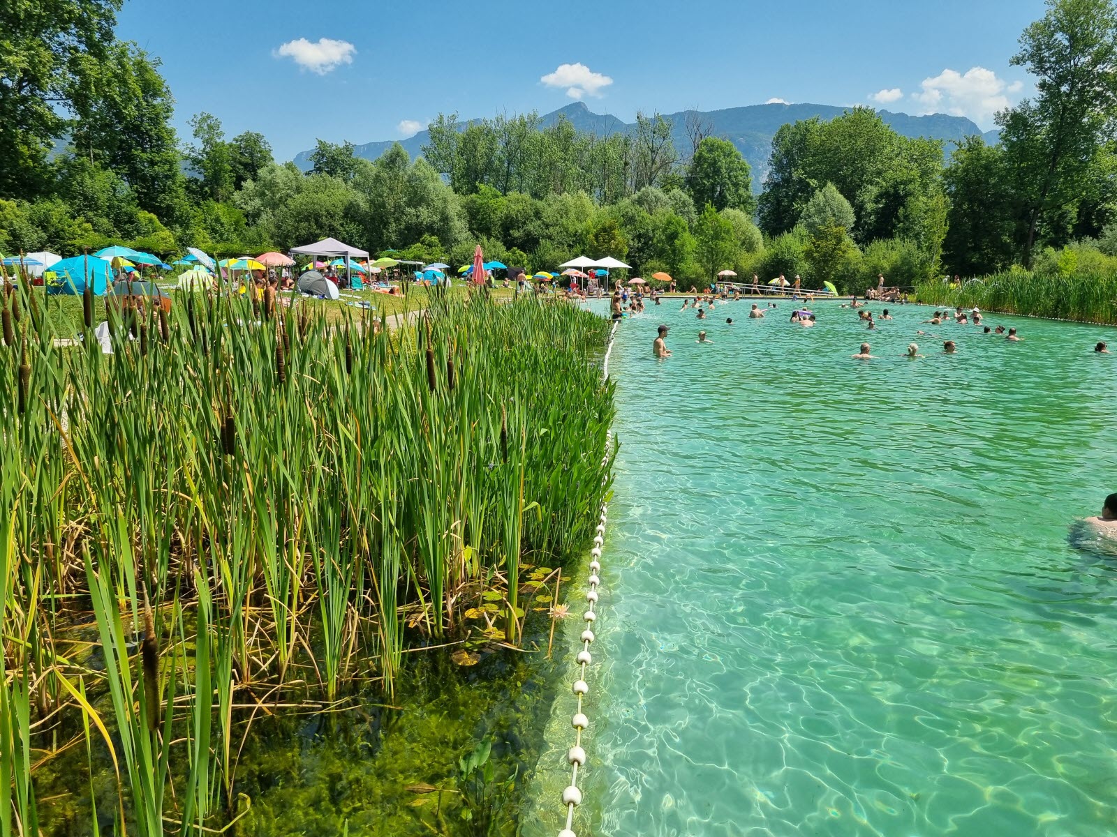 découvrez nos piscines naturelles écologiques, une alternative durable et esthétique pour profiter d'une eau pure sans traitement chimique.